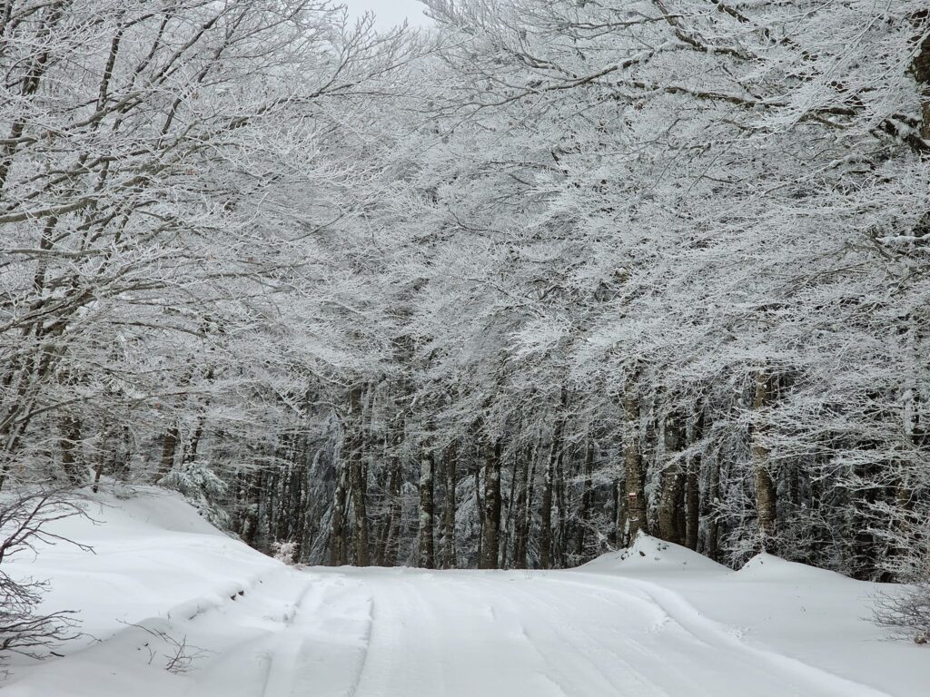 escursione neve montalto aspromonte 21 gennaio 2023