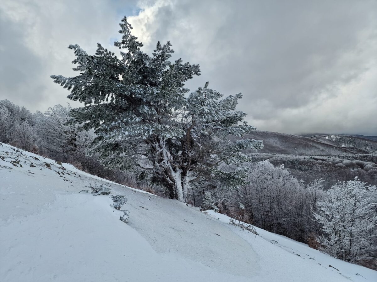 escursione neve montalto aspromonte 21 gennaio 2023