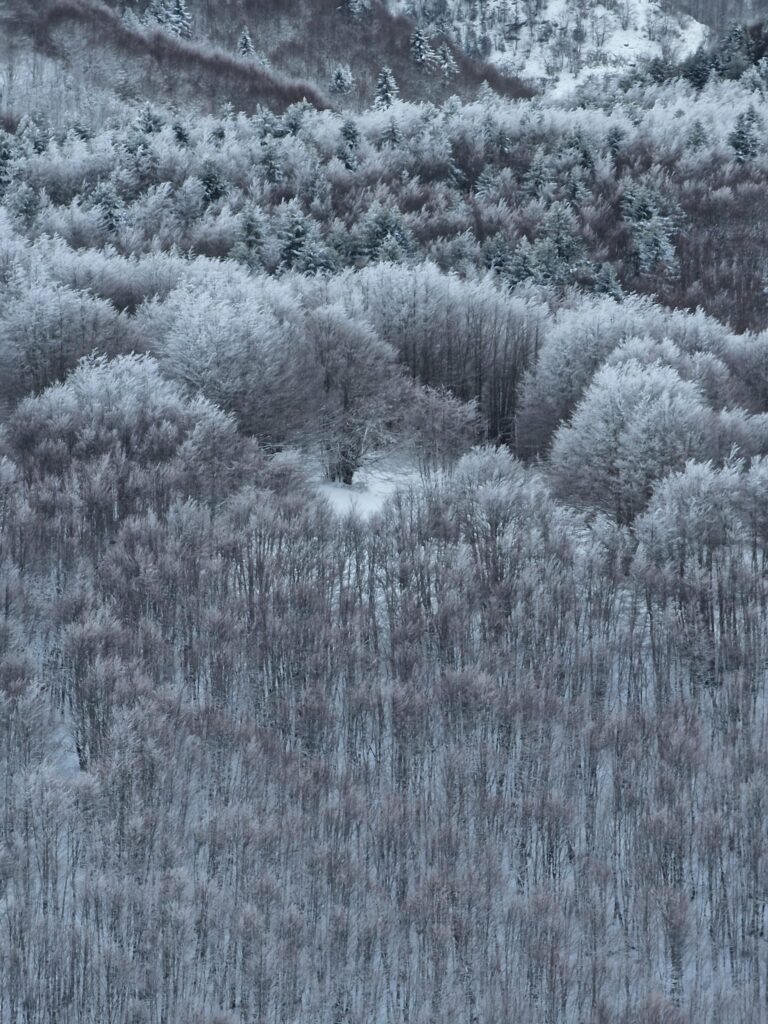 escursione neve montalto aspromonte 21 gennaio 2023