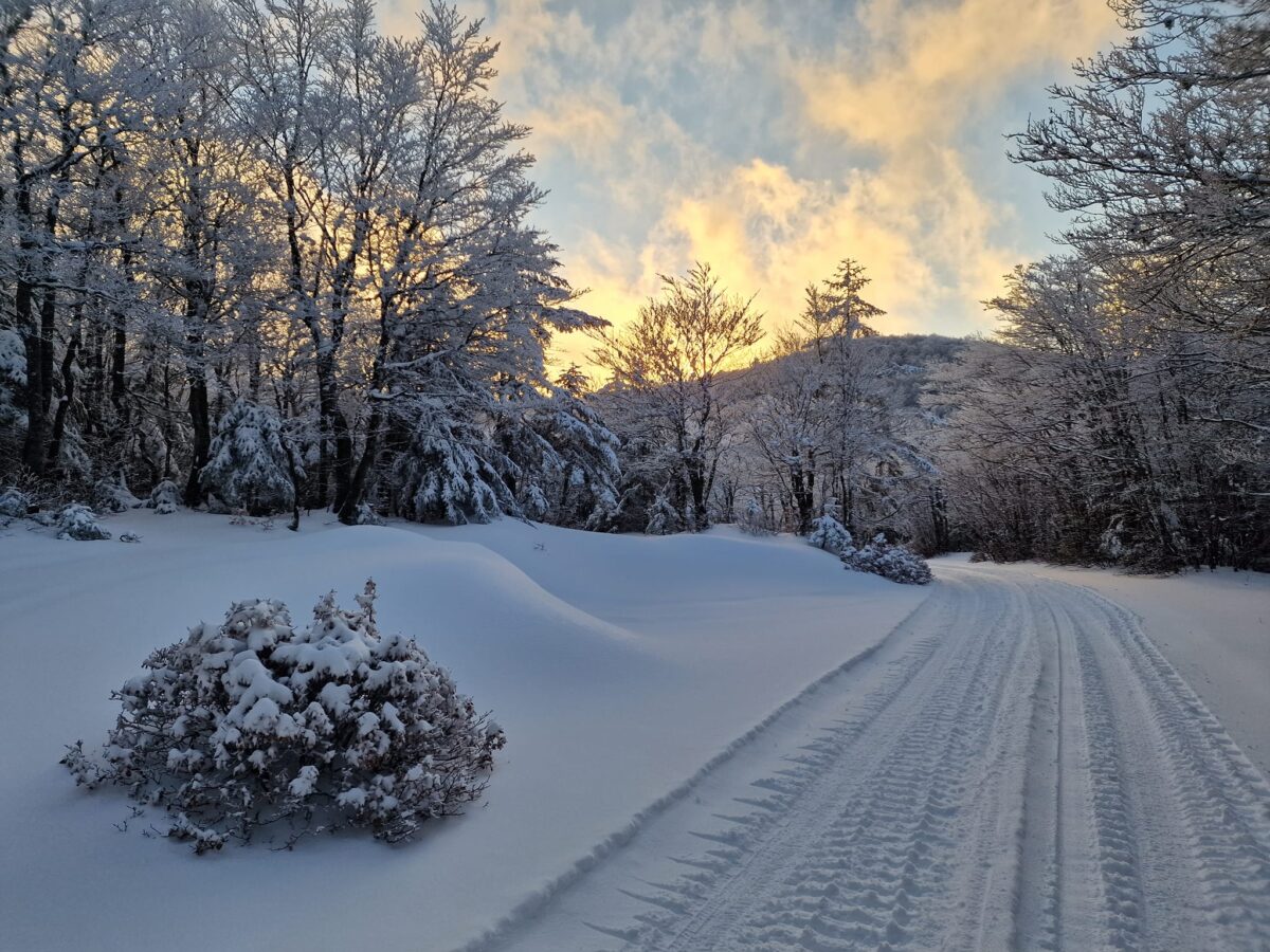 escursione neve montalto aspromonte 21 gennaio 2023