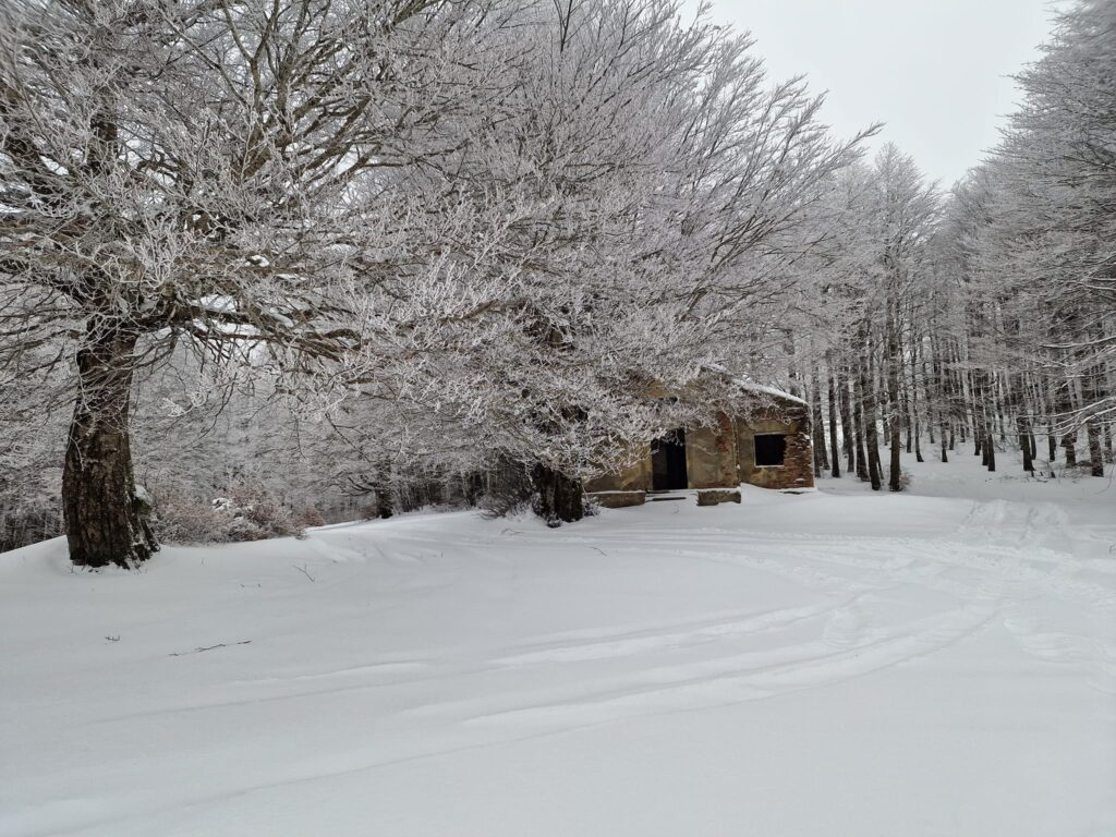 escursione neve montalto aspromonte 21 gennaio 2023