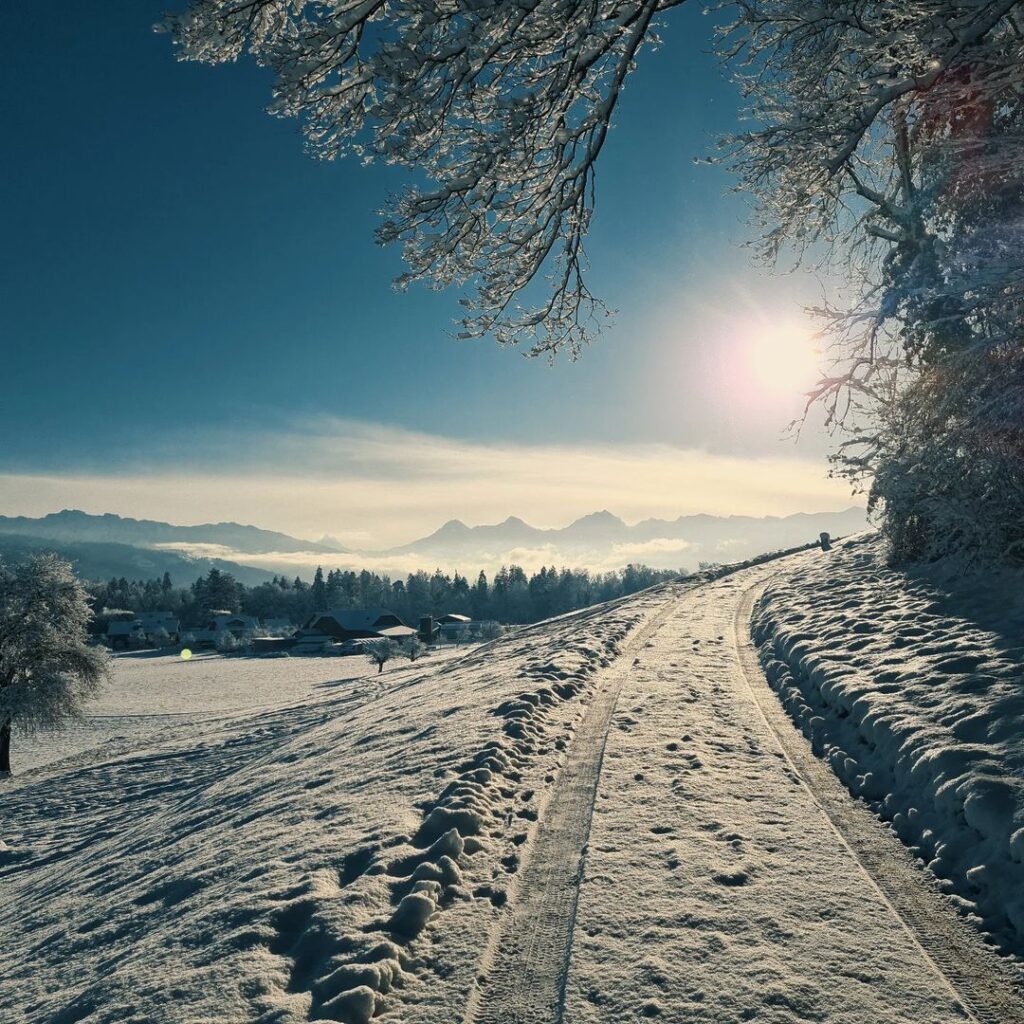 gelo svizzera thun