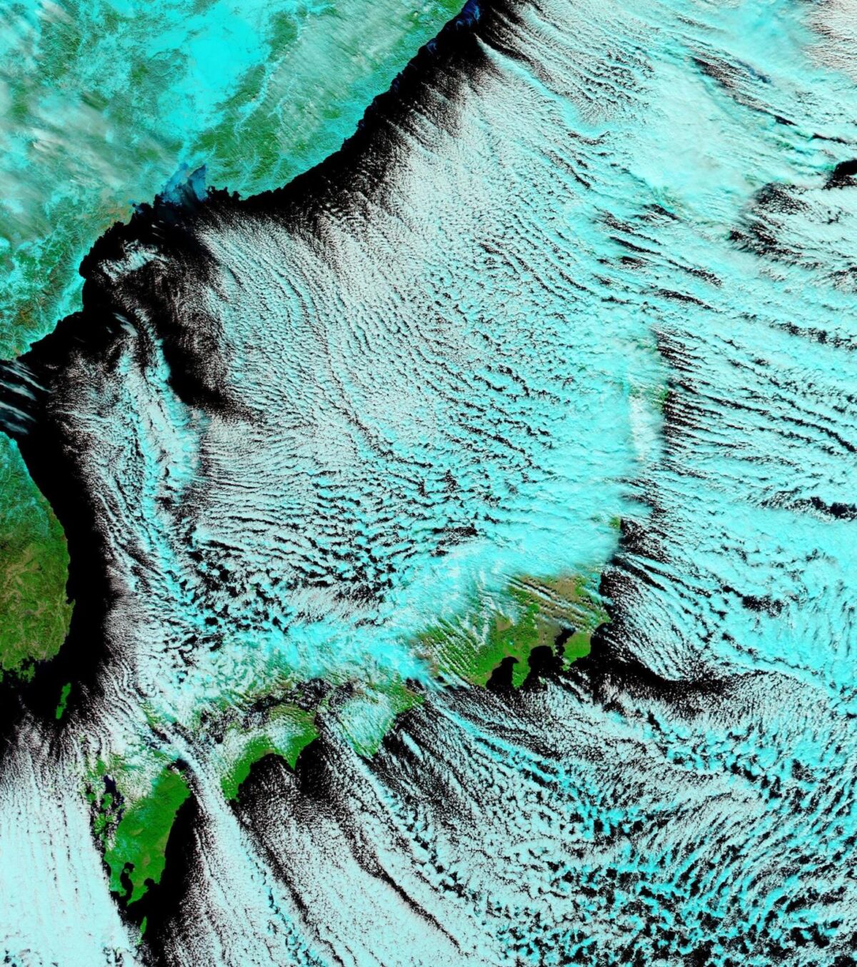 giappone gelo neve satellite 25 gennaio 2023