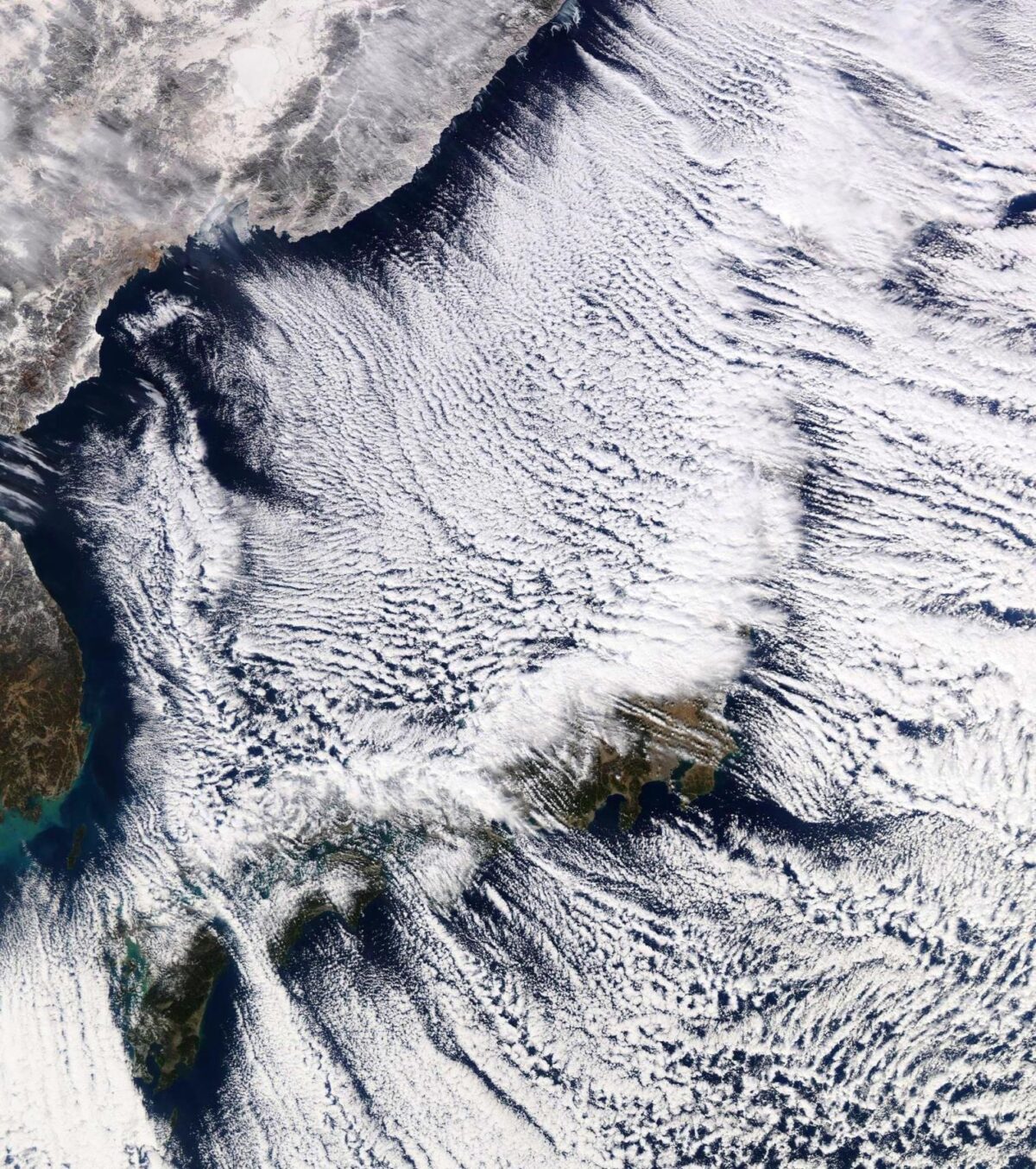 giappone gelo neve satellite 25 gennaio 2023