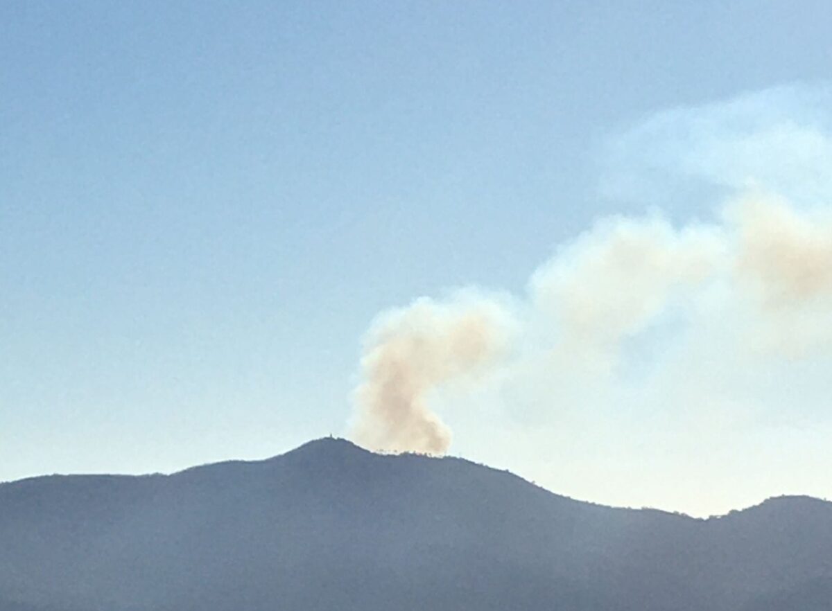 incendi liguria alassio 31 gennaio