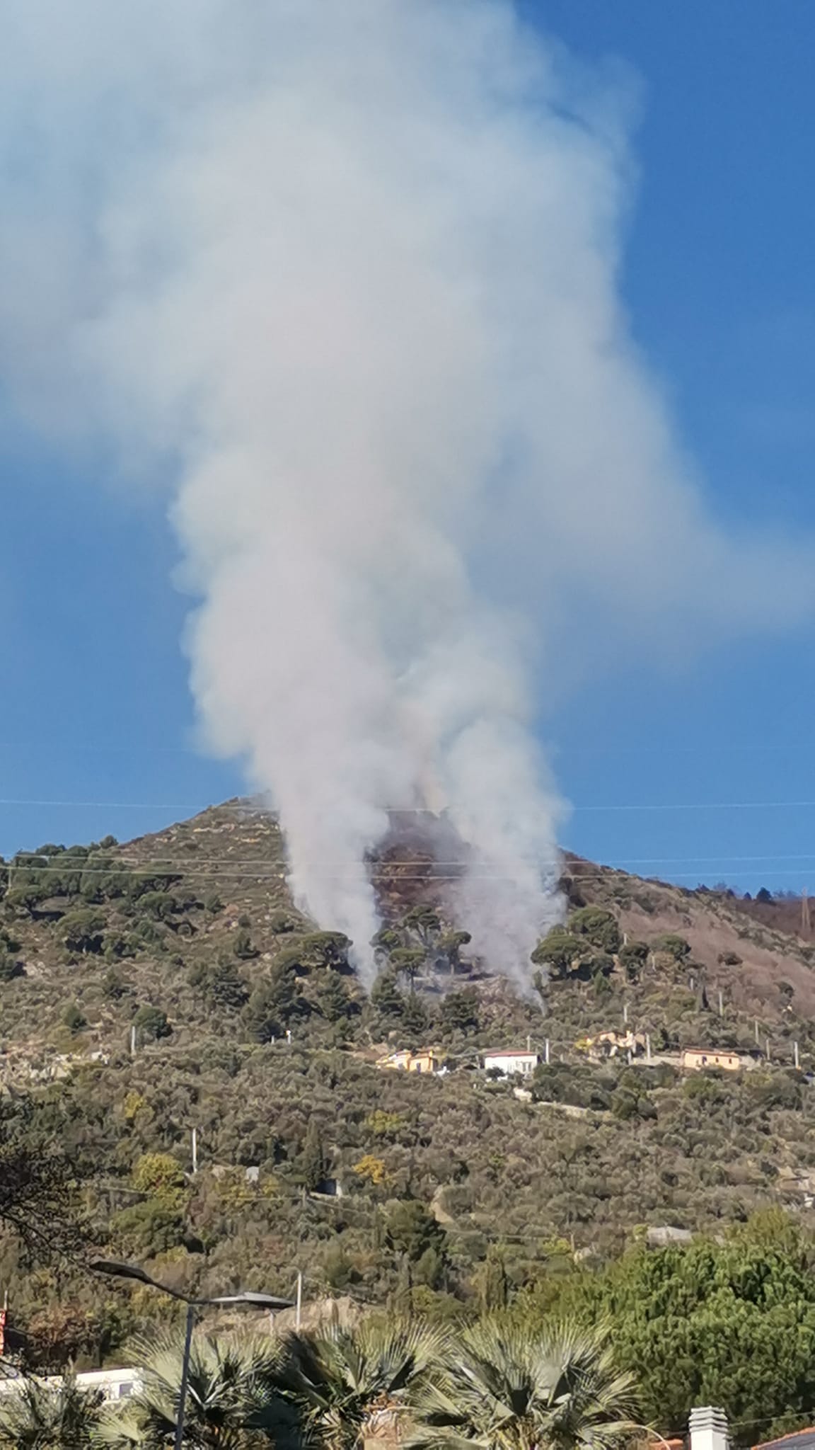 incendi liguria alassio 31 gennaio