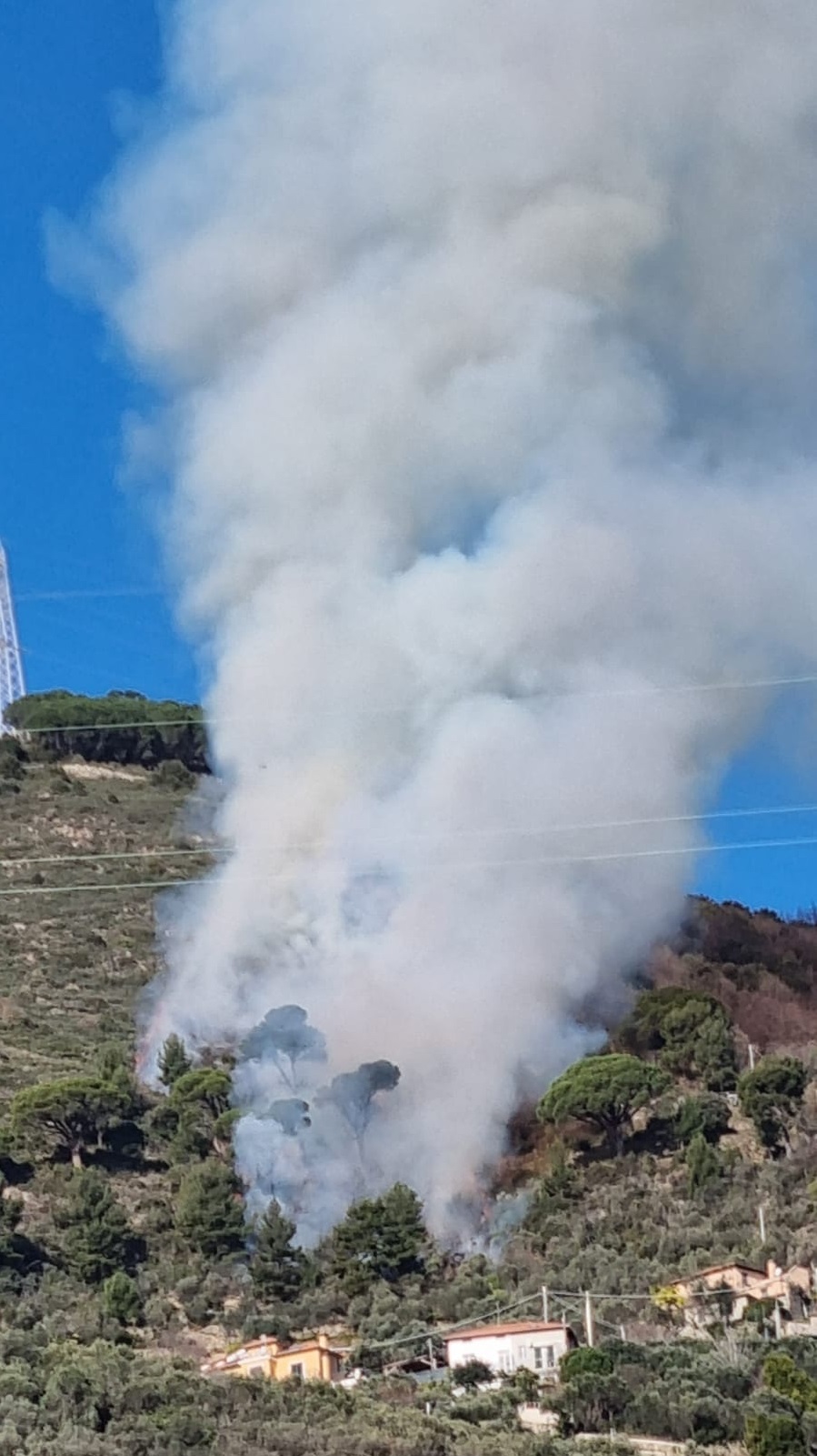 incendi liguria alassio 31 gennaio