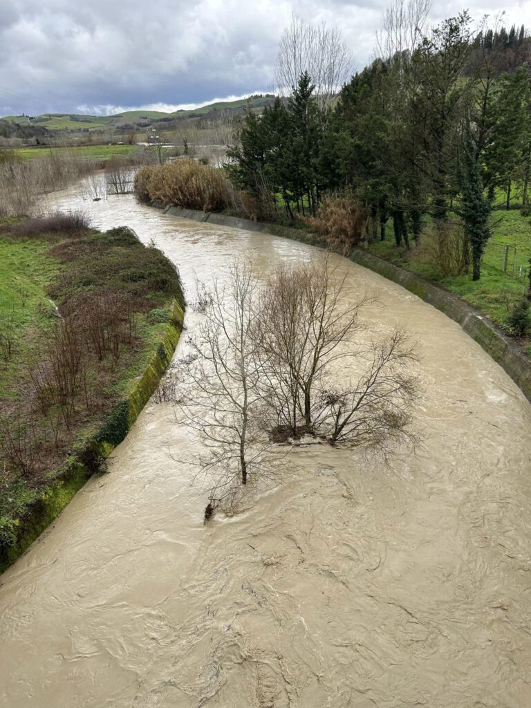 maltempo fiume ombrone toscana