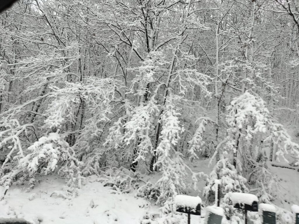 maltempo neve toscana