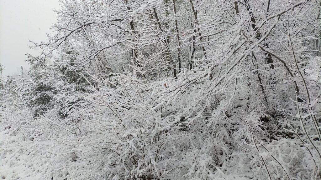 maltempo neve toscana