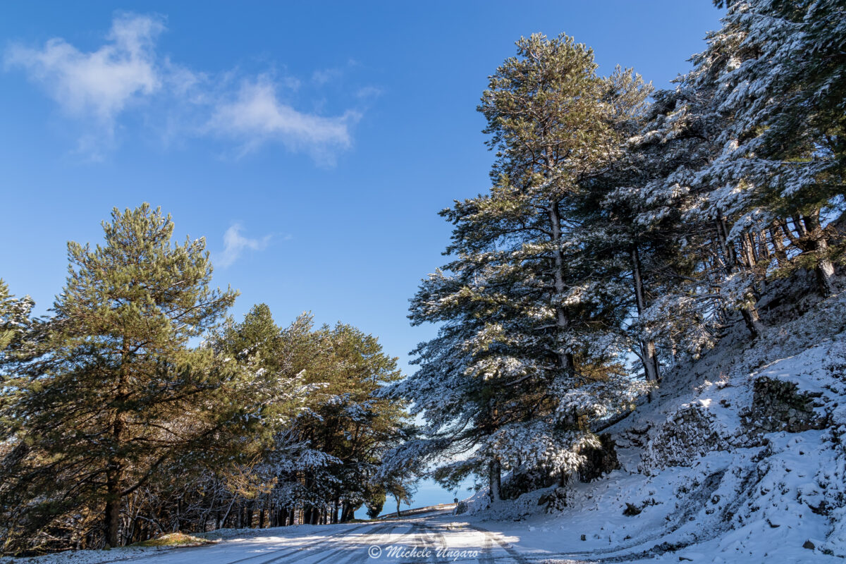 neve dinnammare 23 gennaio 2023