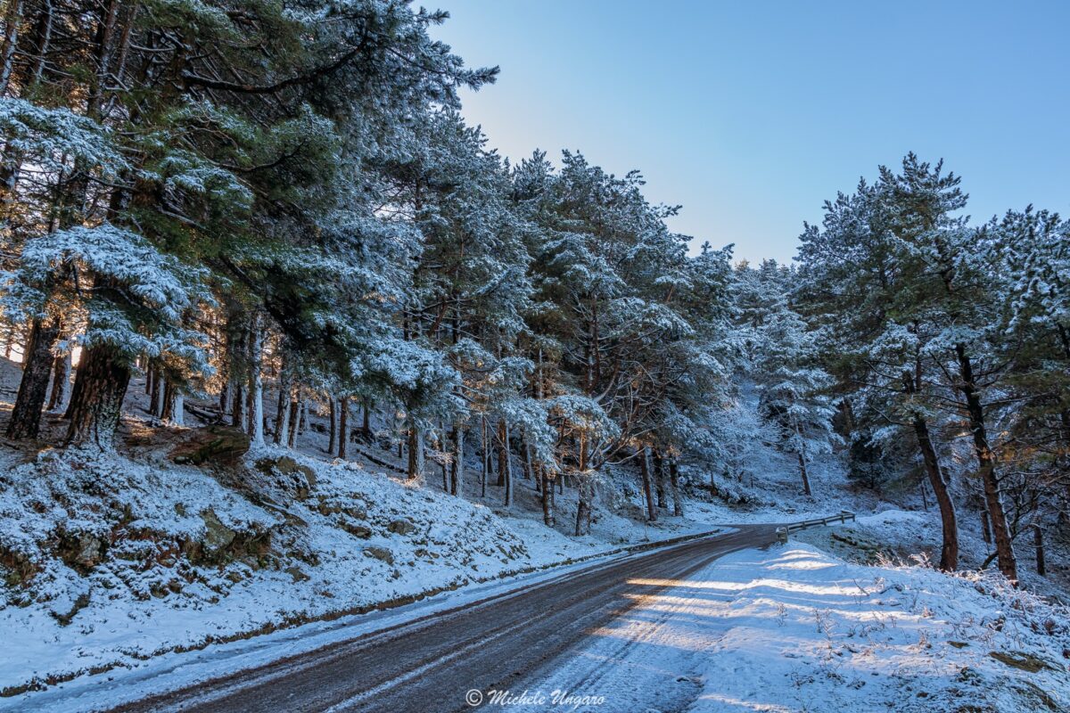 neve dinnammare 23 gennaio 2023