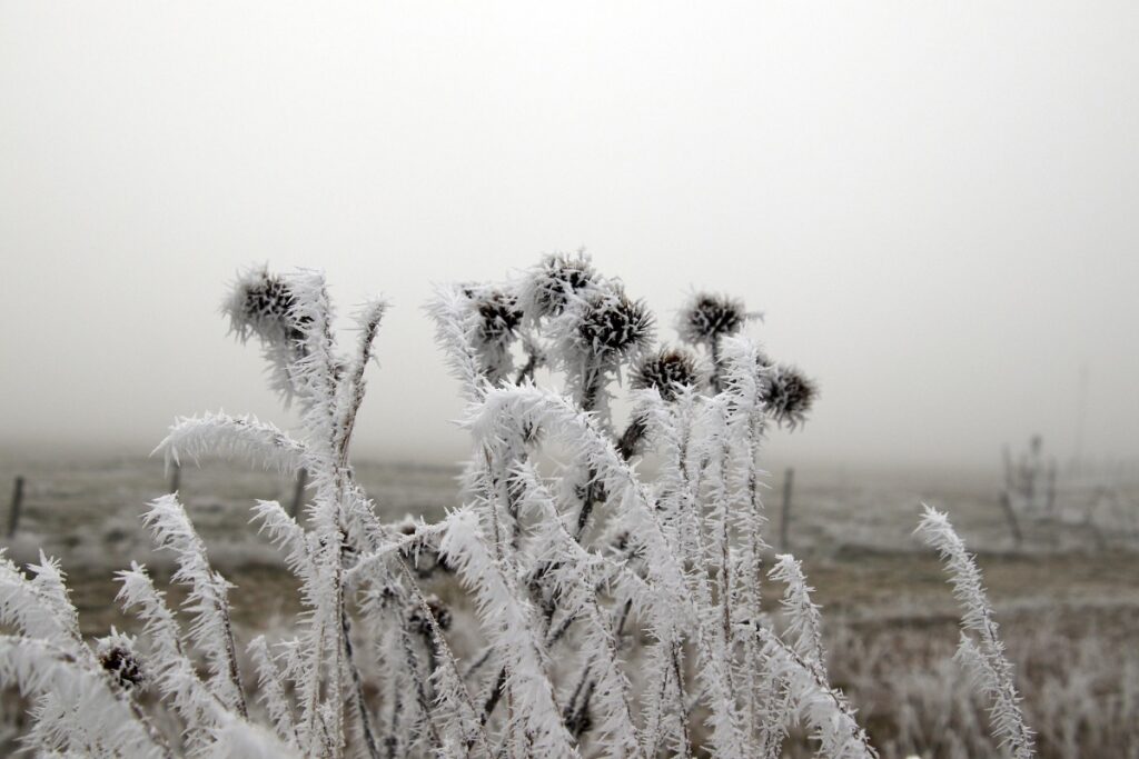 nebbia galaverna castelluccio norcia