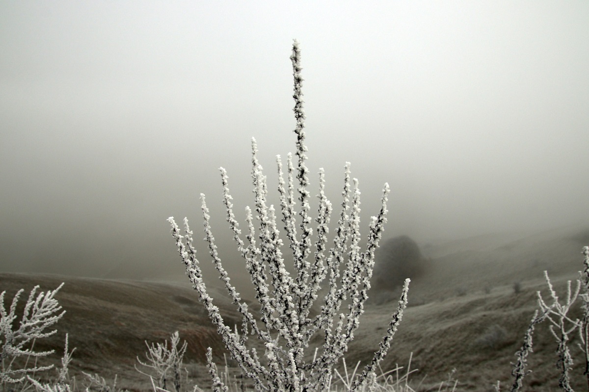 nebbia galaverna castelluccio norcia