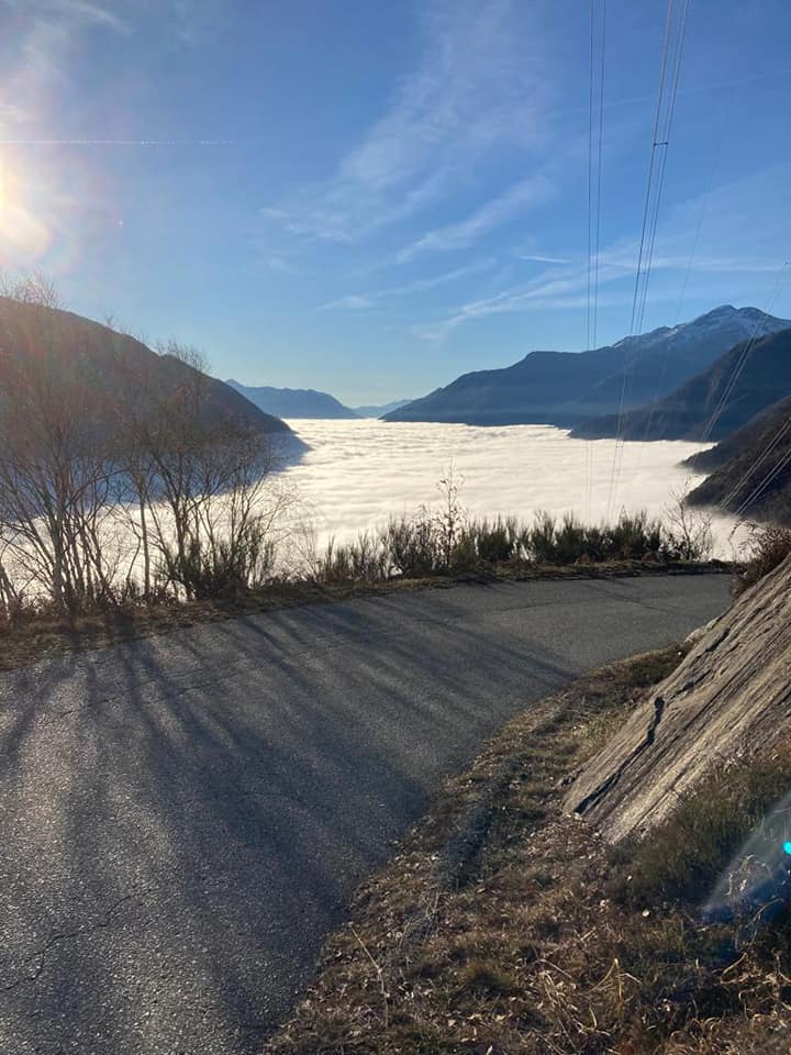 nebbia svizzera