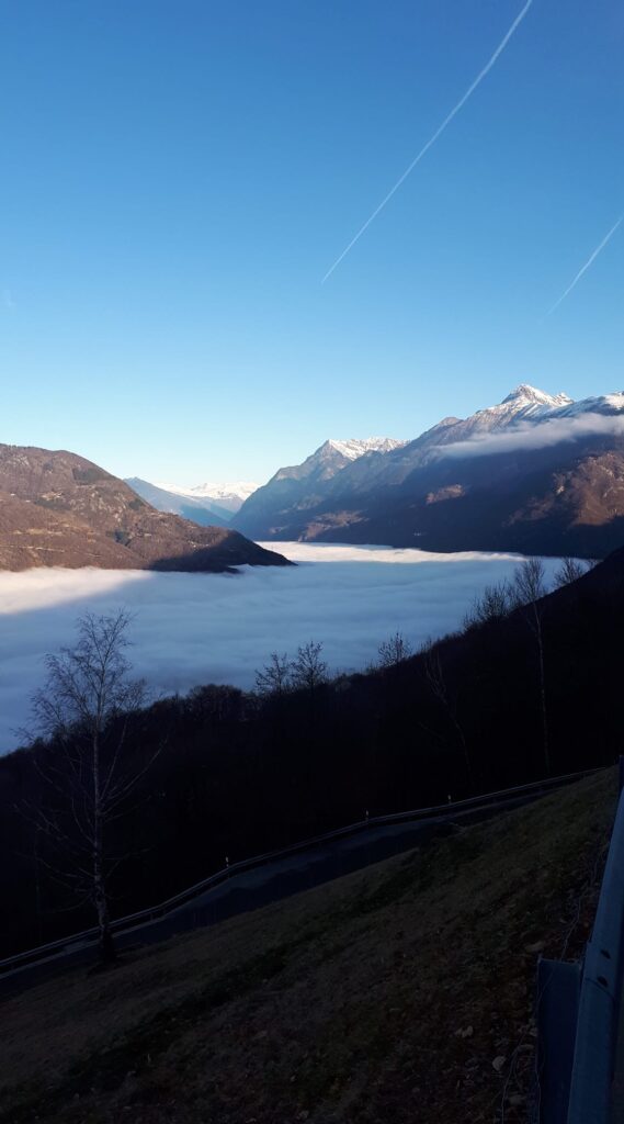 nebbia svizzera