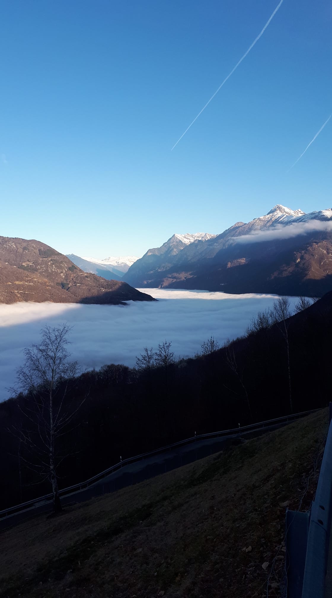 nebbia svizzera