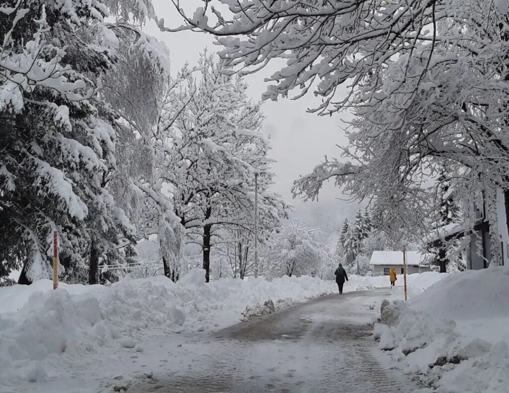 neve Kranjska Gora