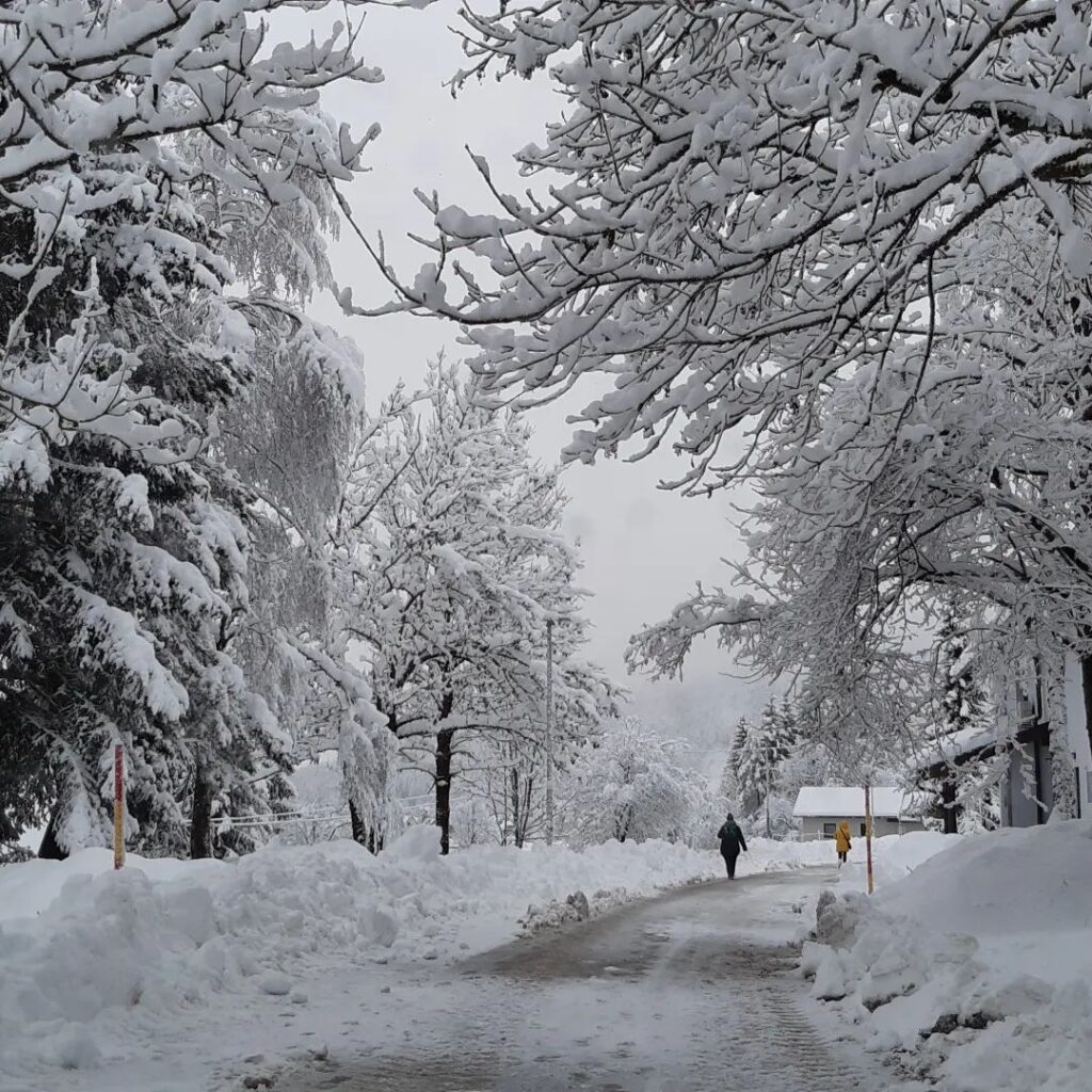 neve Kranjska Gora