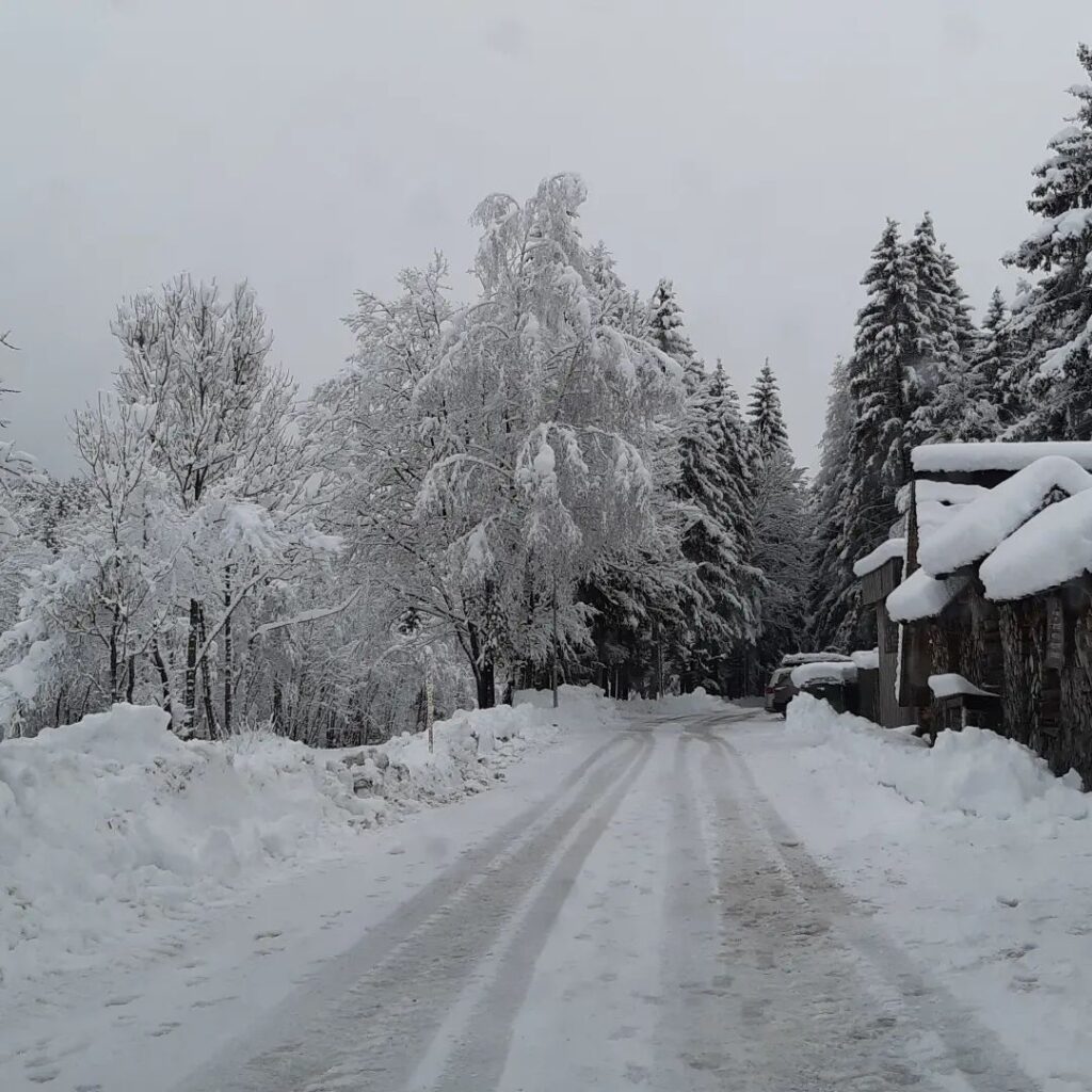 neve Kranjska Gora