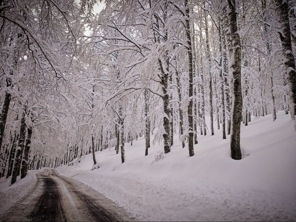 neve appennino 19 gennaio 2023