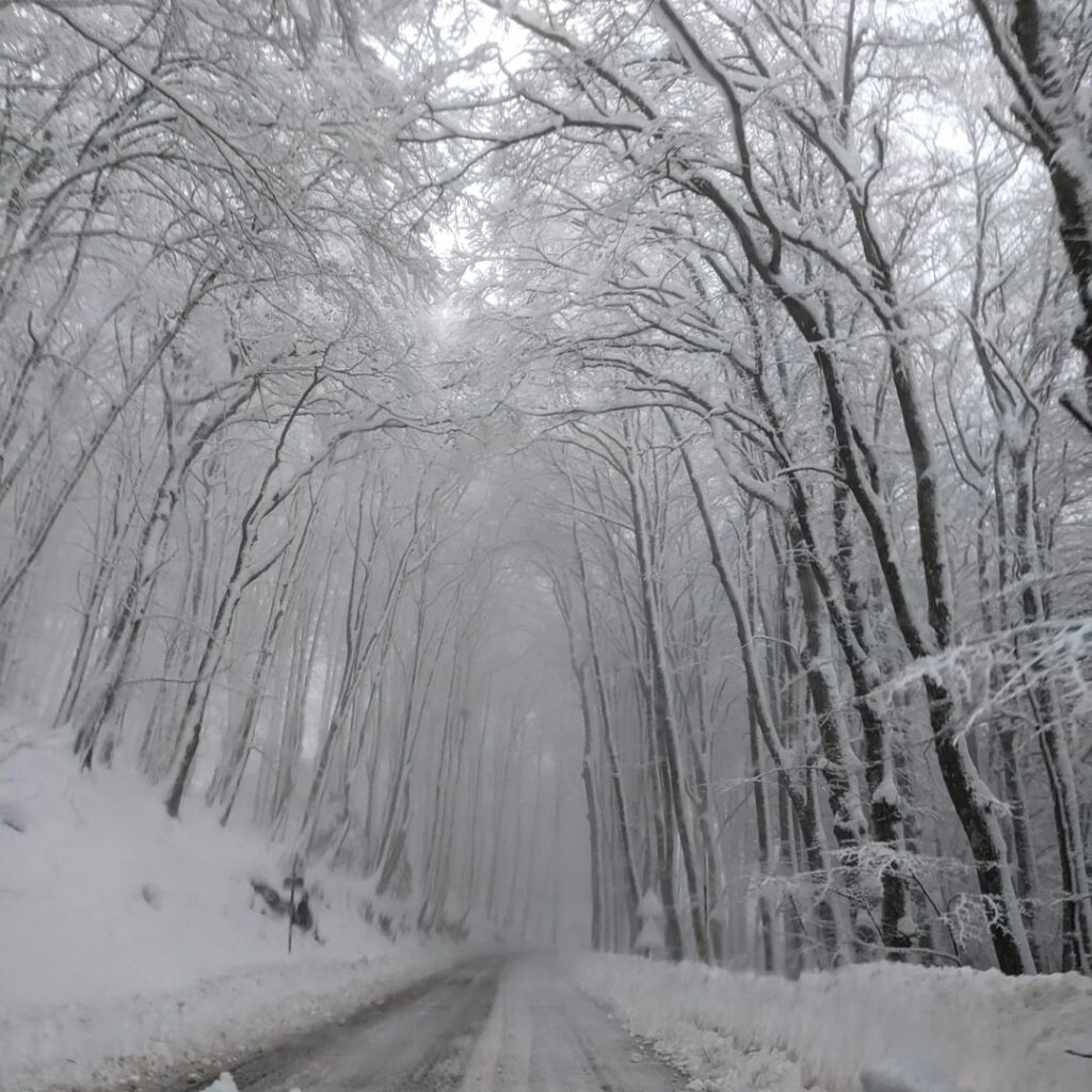 neve basilicata