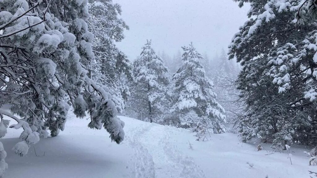 neve basilicata