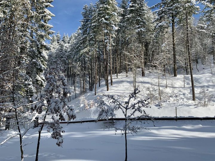 Neve in Casentino