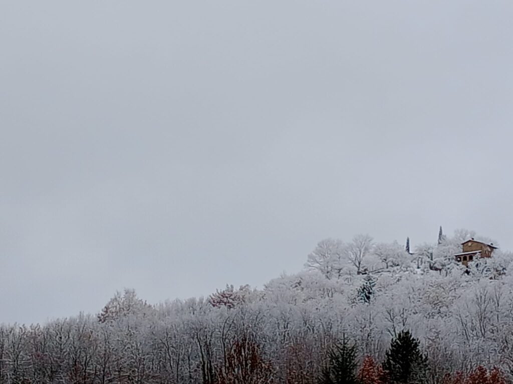 Neve in Casentino