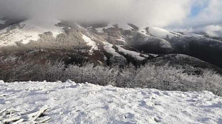 neve cervati campania