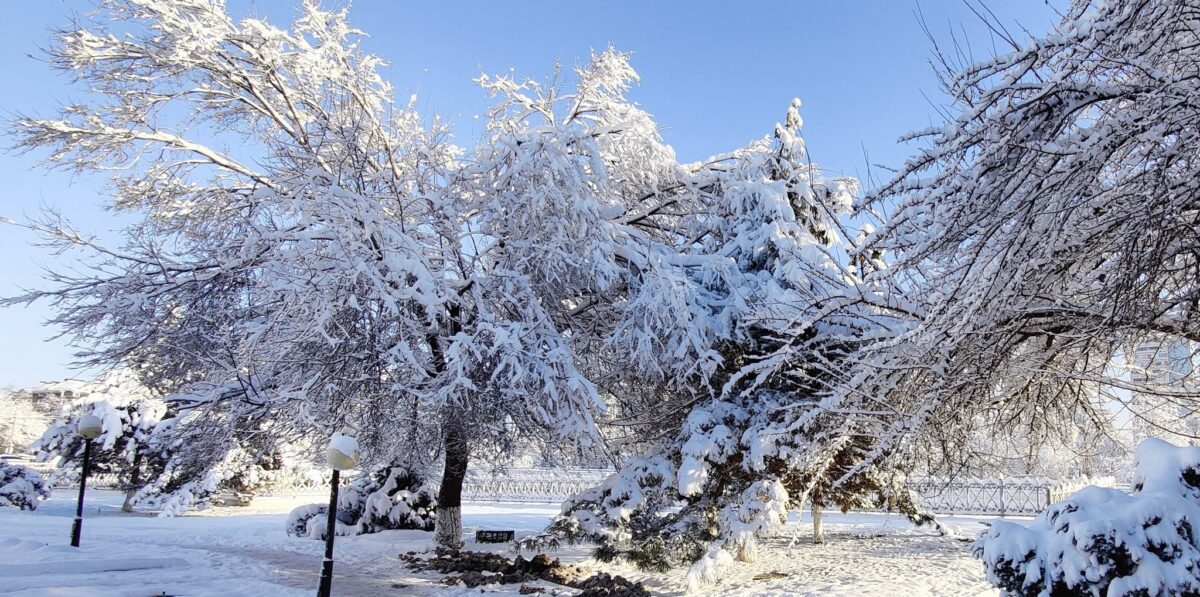 neve e freddo record a Taşkent