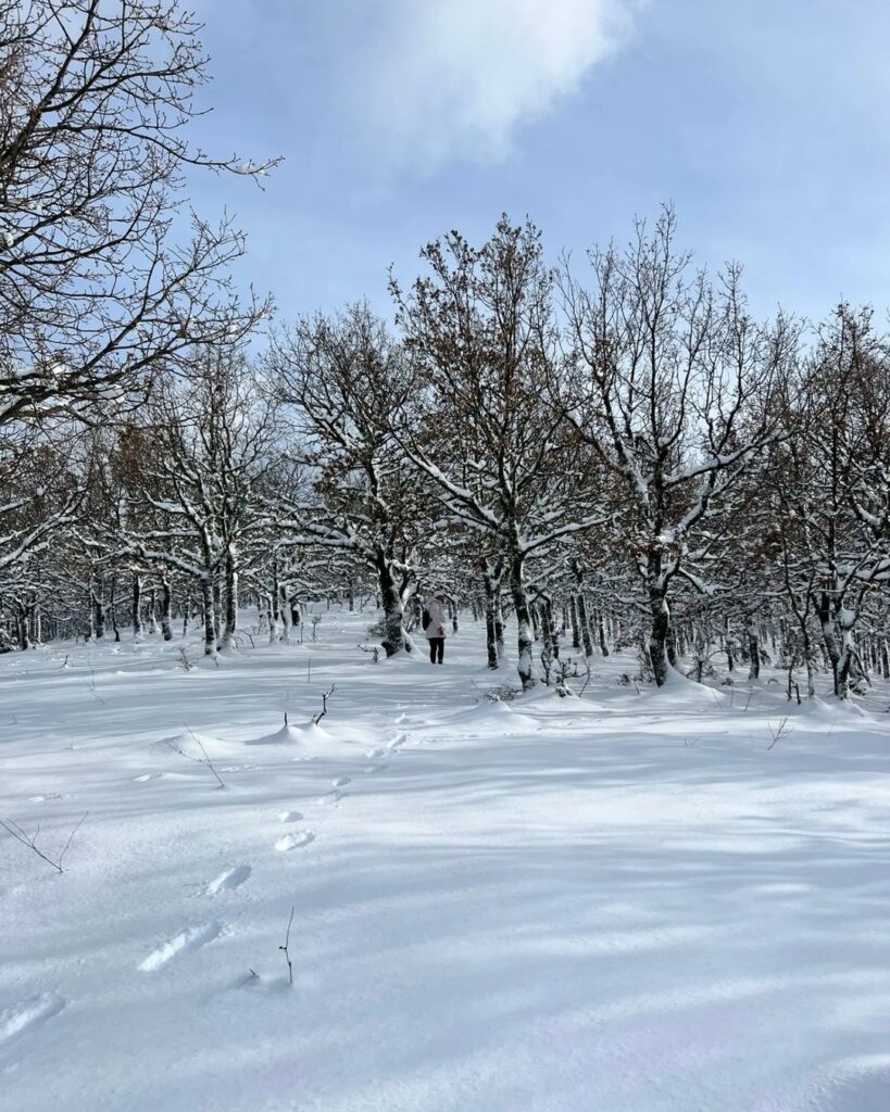 neve fonni sardegna