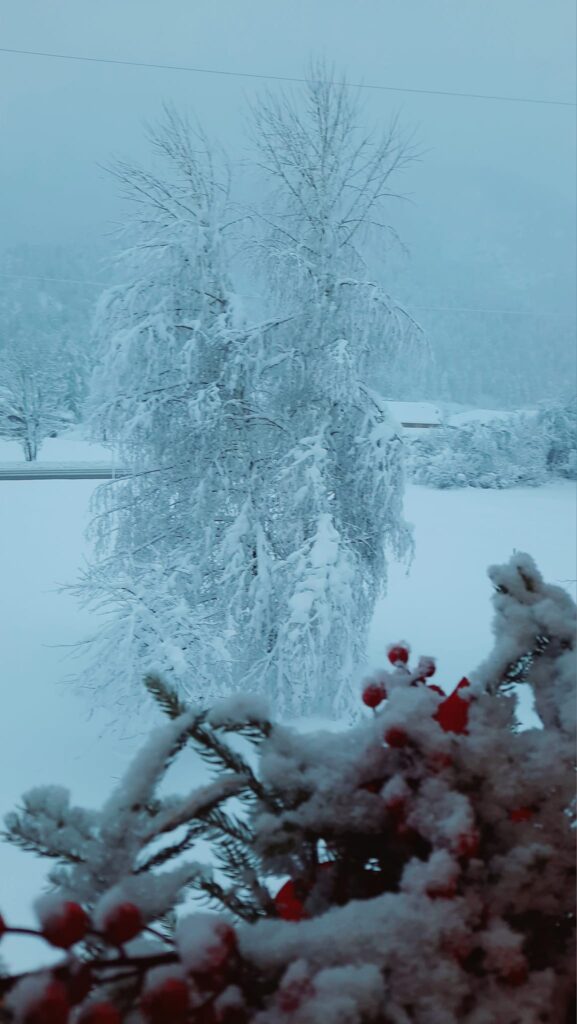 neve friuli tarvisio