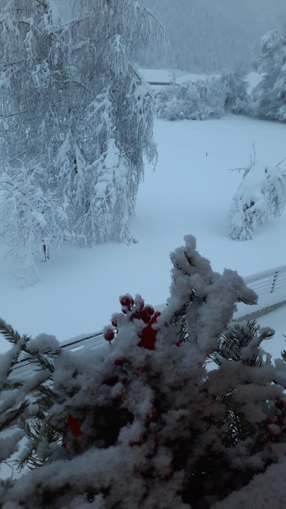 neve friuli tarvisio