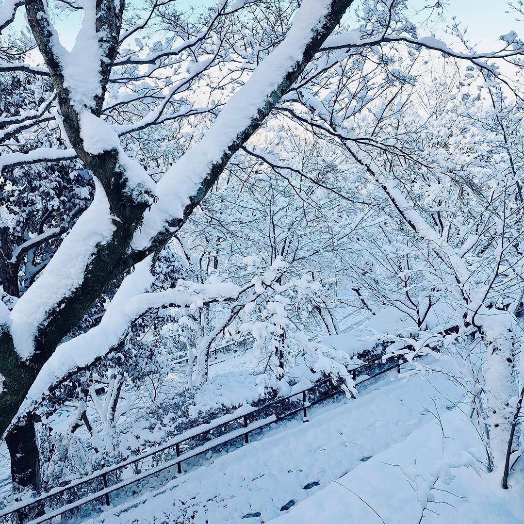 neve gelo record giappone 25 gennaio 2023