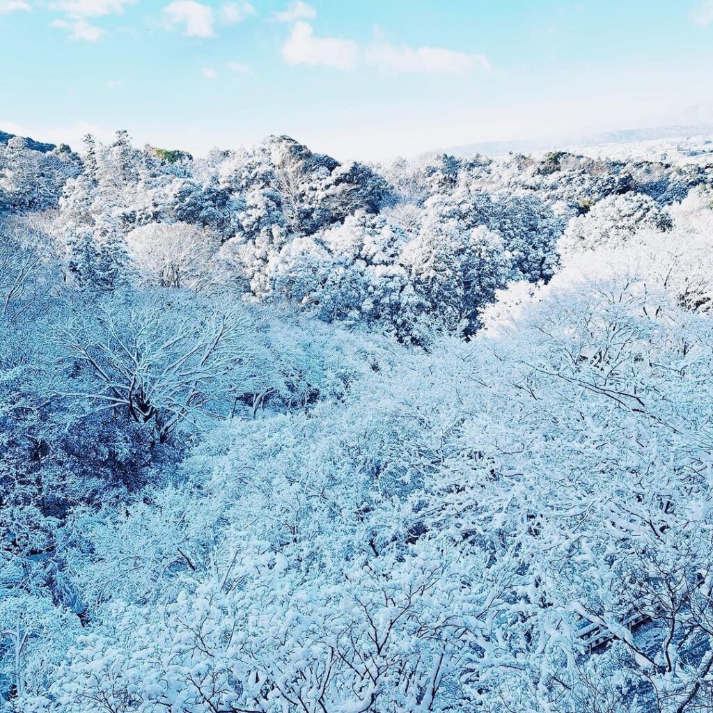 neve gelo record giappone 25 gennaio 2023