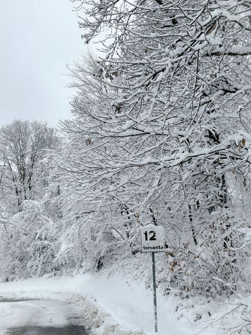 neve oggi Monte Maddalena