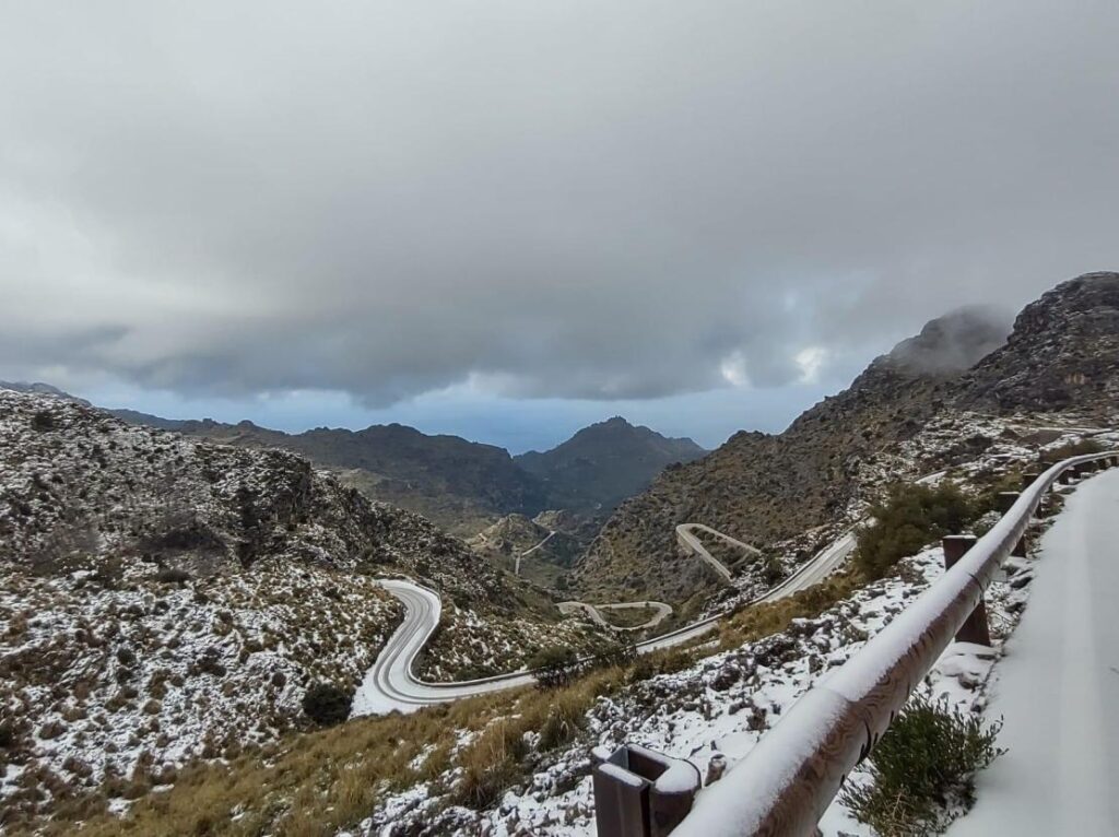 neve maiorca