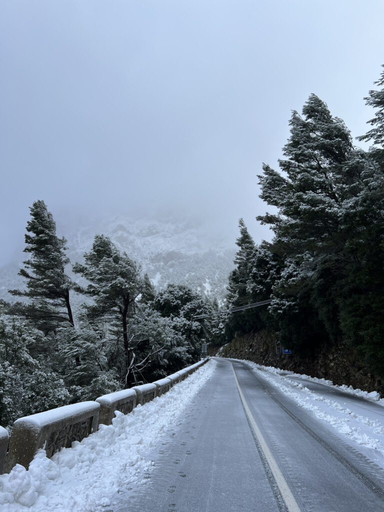 neve maiorca