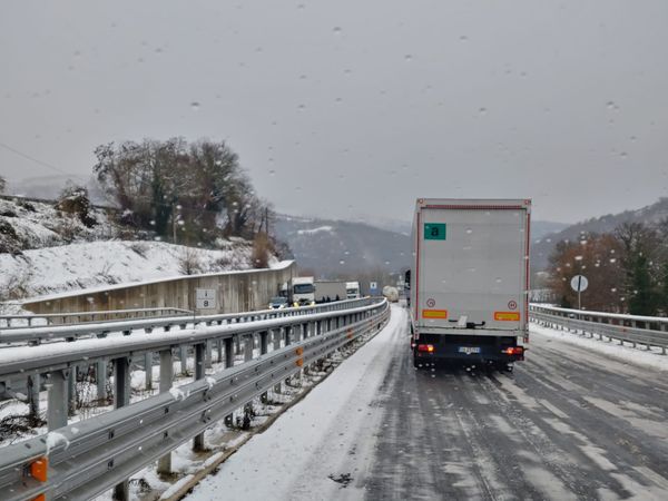 neve marche