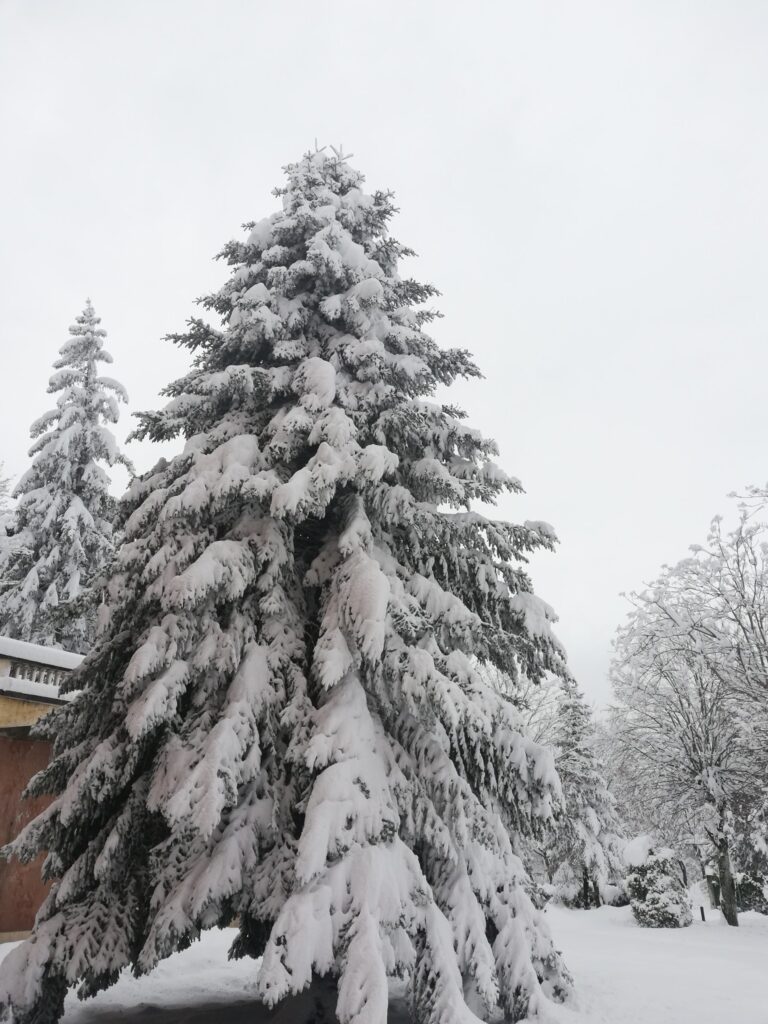 neve monastero san silvestro marche