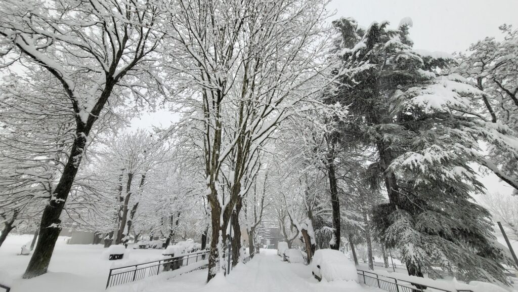 neve norcia umbria