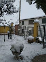 neve oltrepò pavese lombardia (11)