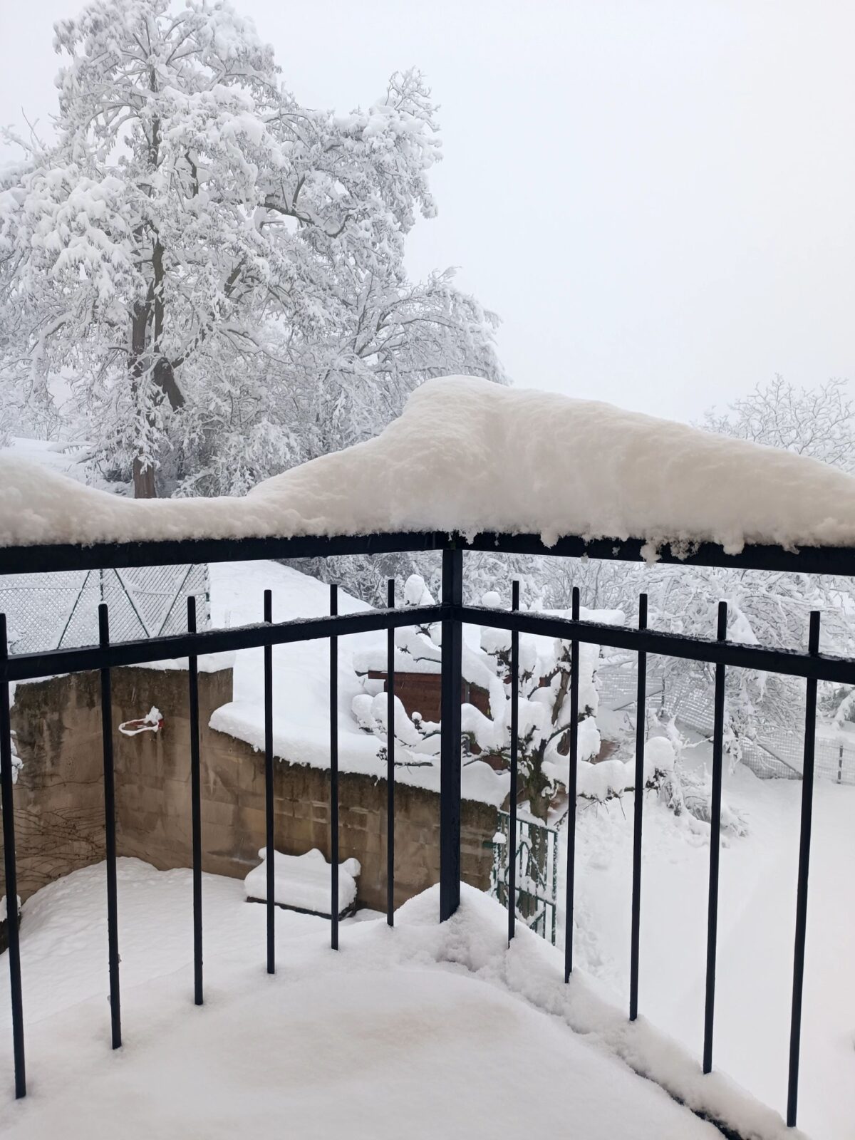 neve oltrepò pavese lombardia (11)