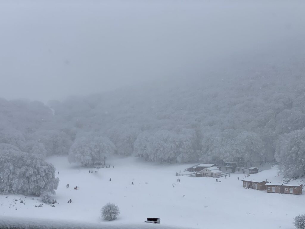 neve piano battaglia