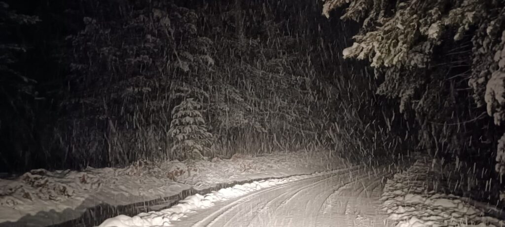 neve san giovanni in fiore