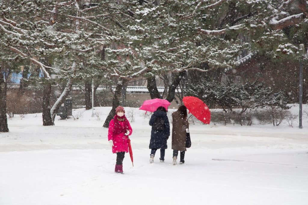 neve seul corea del sud