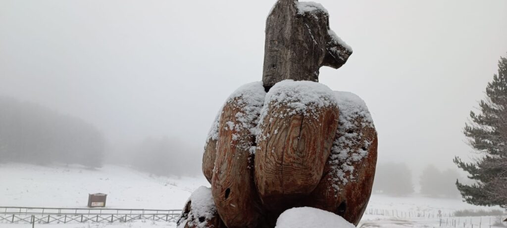 neve sila 10 gennaio 2023