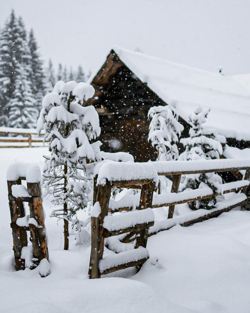 neve slovenia oggi