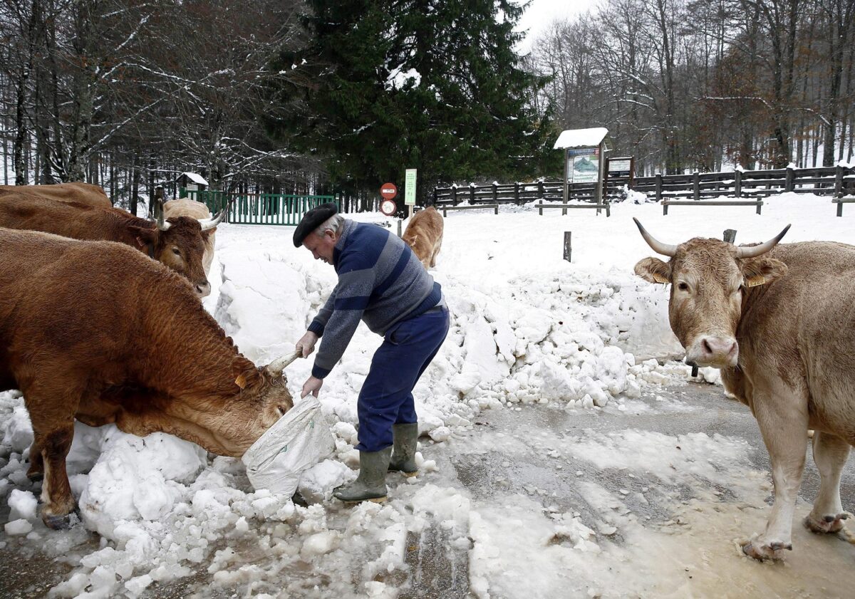 neve spagna